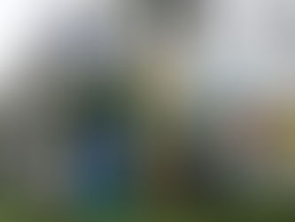 Las gabelas financieras del gobierno para la transición en Electricaribe