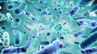 Una bacteria intestinal revoluciona la lucha contra el cáncer