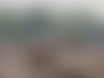 El plástico no es solo un problema ambiental, es uno grave de salud