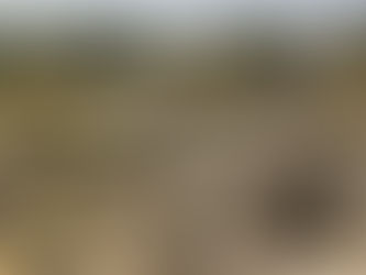 Troya: entre el mito de Homero y la fortaleza de Anatolia