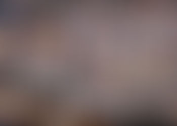 El último periodo de las curules de paz o curules para las víctimas