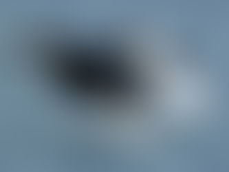 Los humanos somos culpables de que los animales marinos estén en peligro