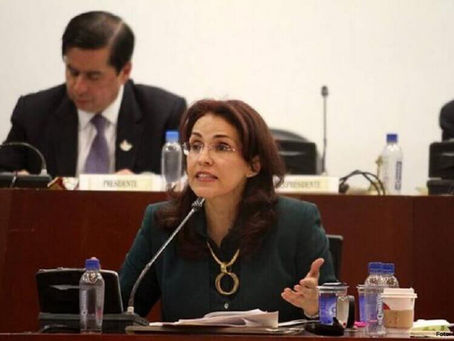 Niegan referendo que prohibía la adopción a parejas del mismo sexo