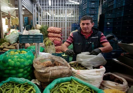 Abastecimiento de alimentos aumentó casi 10% en julio