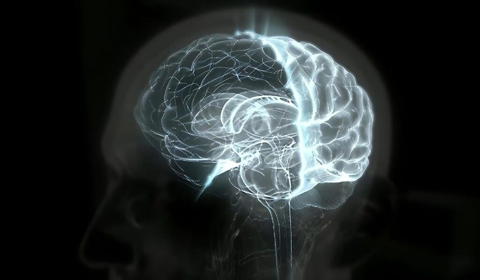 ¿Por qué nuestro cerebro reacciona con tanta intensidad ante el azar?