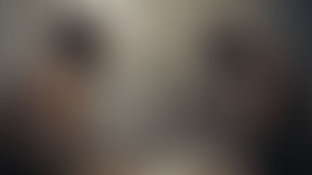 El colapso del campo magnético cambió la historia de la humanidad