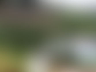 La implementación de la paz podría tardar hasta 20 años