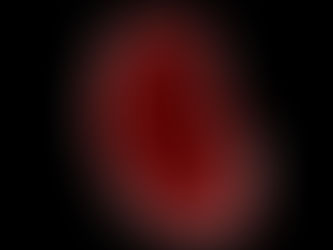 Crean células progenitoras de riñón que sobreviven en el laboratorio