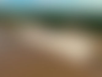 Destituyen a exdirectivos de Cardique por ´cartel de contratación´