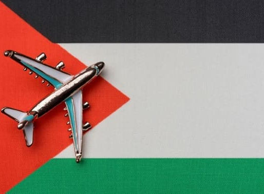 Fuentes confiables sobre Palestina: los informes del Instituto Lemkin