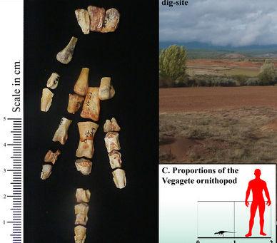 Un diminuto dinosaurio soluciona un linaje fantasma
