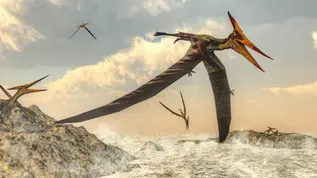 La asombrosa ingeniería evolutiva que enseñó a volar a los dinosaurios