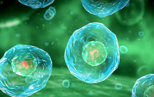 El dilema molecular que divide a la ciencia sobre el origen de la vida