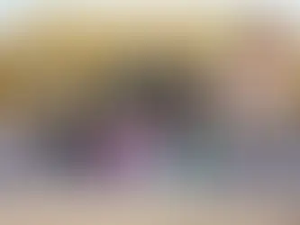 Presidente Petro no asistió a cumbre de jefes de Estado en Montería