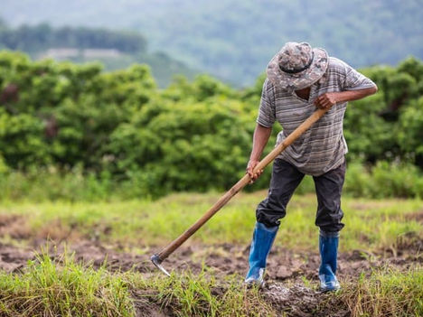 El privilegio de ser campesino 