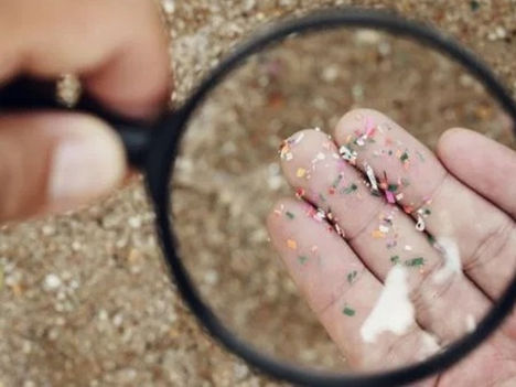 El peligro invisible de los microplásticos en la cadena alimentaria