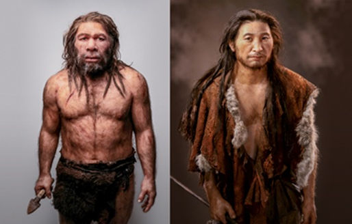 La sutil mutación genética que salvó al Homo sapiens de la extinción