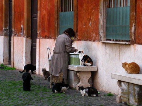 La loca de los gatos no era una metáfora