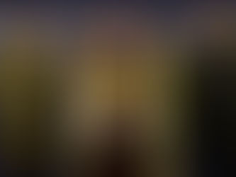 "FF. AA. no bajarán la guardia contra el crimen organizado": Villegas