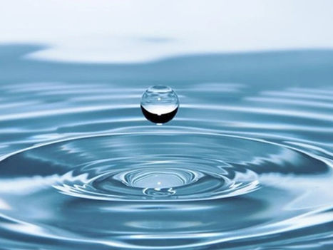 ¿Por qué moja el agua?, un fascinante viaje por la física de fluidos
