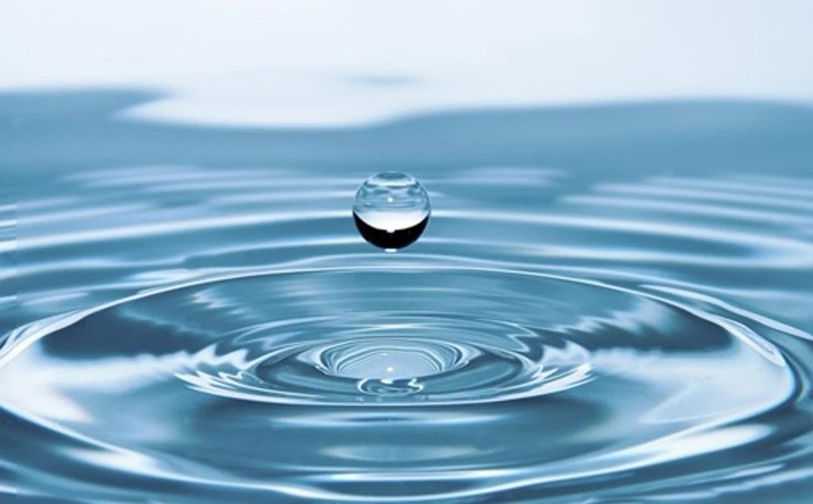¿Por qué moja el agua?, un fascinante viaje por la física de fluidos