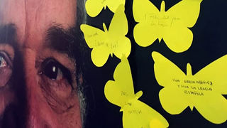 El significado de las mariposas amarillas en ´Cien años de soledad´