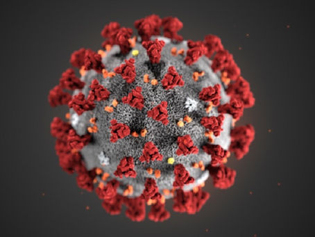 ¿Sabe usted como afrontar la crisis del coronavirus?