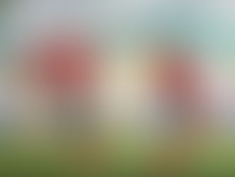 Barranquilla F.C. estaría al borde de descender a la 3a división