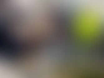 Desarticulan a la banda de tráfico de drogas ´Los finos´