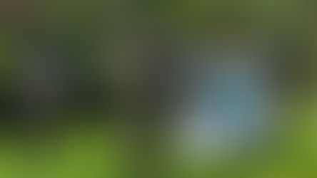 La criminalidad arrodilla a Colombia