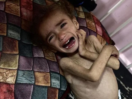 "Israel está cometiendo un genocidio en Gaza": ONG israelÃes