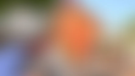 ¿Cuál estrategia de seguridad tendrá Valledupar en el Festival Vallenato?