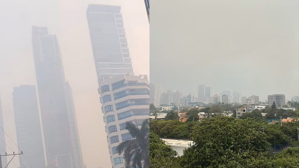 Nuevo incendio en Isla Salamanca cubre de humo a Barranquilla