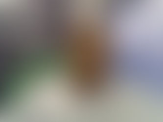 AlcaldÃa abre convocatoria de formación para migrantes