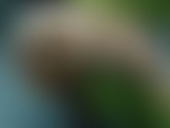 Un animal casi indestructible dispuesto a proteger el ADN de los humanos