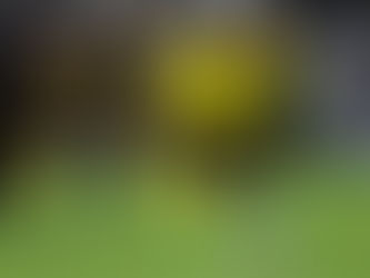 Juan Camilo Hernández lidera a los goleadores colombianos en el mundo