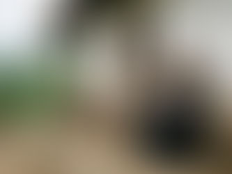 Los viejos en el abandono que deja el conflicto en Colombia