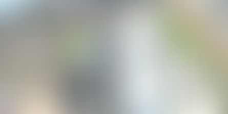 Reparado daño en Termoflores, se reestablecen 230 megavatios en sistema eléctrico