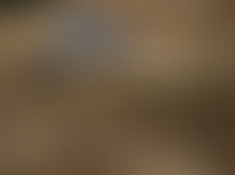 90% de probabilidad de un fenómeno de El Niño fuerte este año