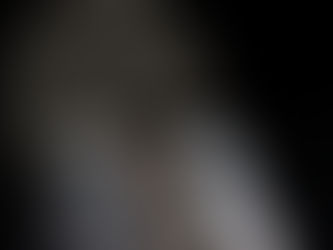 La verdadera oposición son los titulares de los medios
