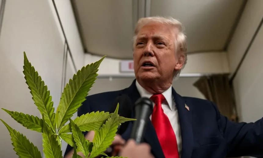 Trump planea legalizar la marihuana en EE. UU. desde 2026
