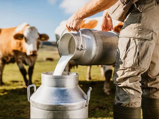 Colombia logró producción histórica de leche en 2025