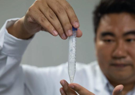 Científicos logran obtener almidón a partir de CO2