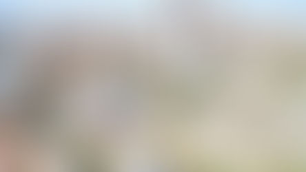 Barranquilla se viste de gala: 213 años de historia