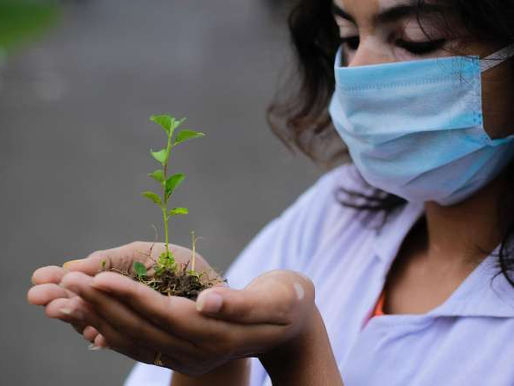 La humanidad como fuerza reguladora de la evolución