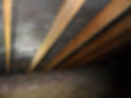 NYS Mold Assessor Refresher Continuing Education Course (CE 4 hrs.)