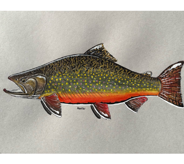 brooktrout.png