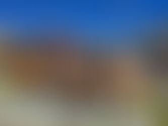 Quel bois choisir pour vos terrasses, balcons, meubles et revêtement extérieurs ?