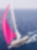 THE PINK PASS