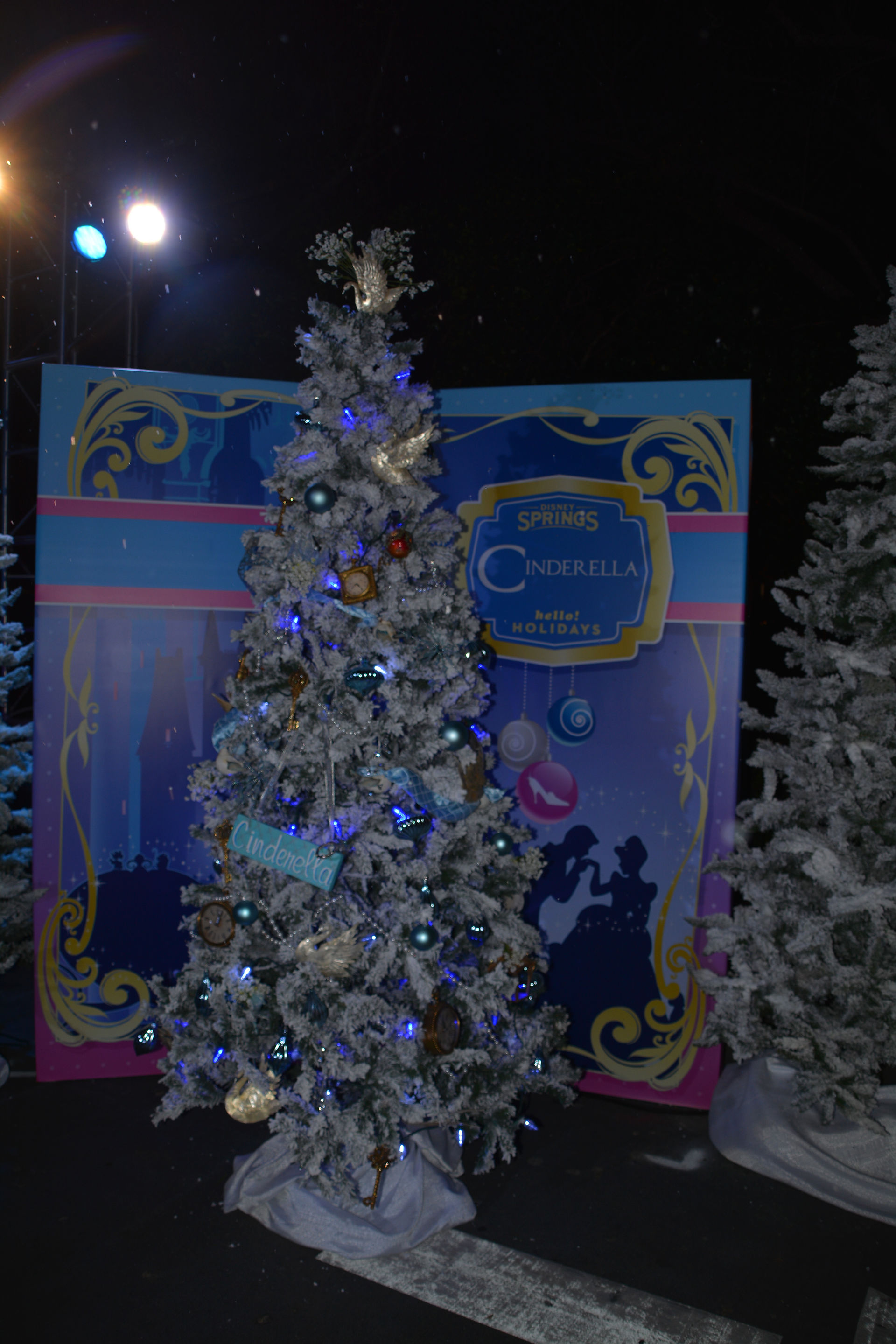 Cinderella tree